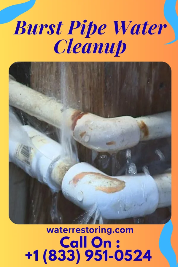 Burst Pipe Water Cleanup in Pecatonica, IL