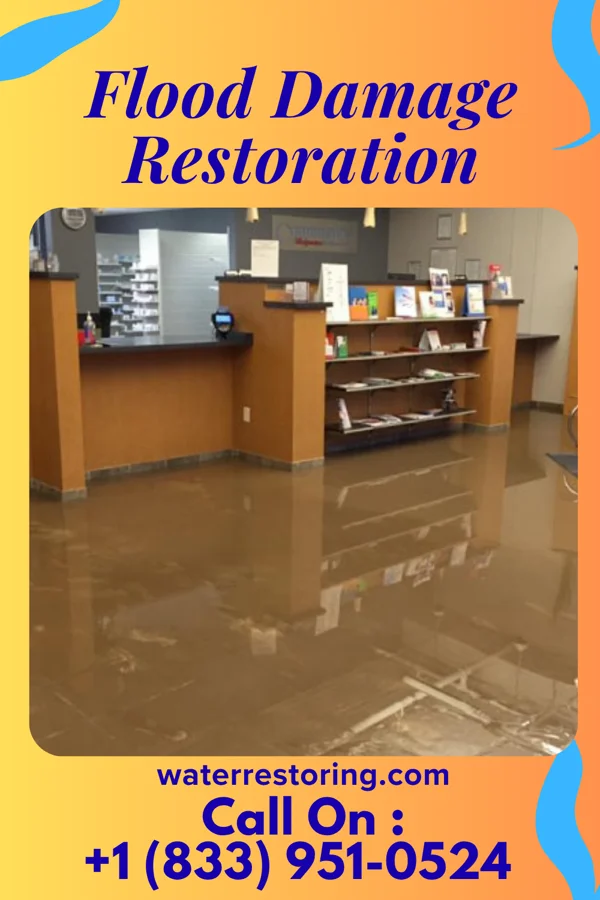 Flood Damage Restoration in Pecatonica, IL