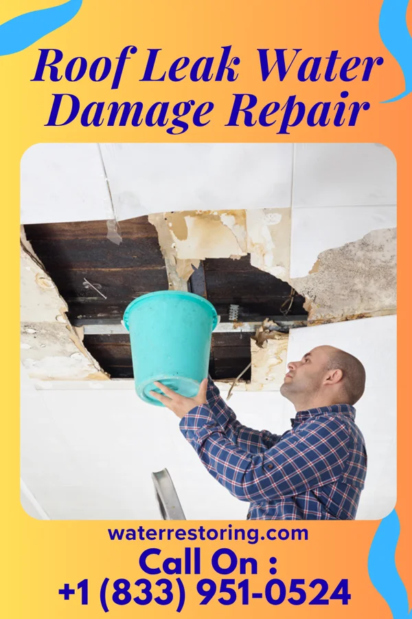 Roof Leak Water Damage Repair in Pecatonica, IL