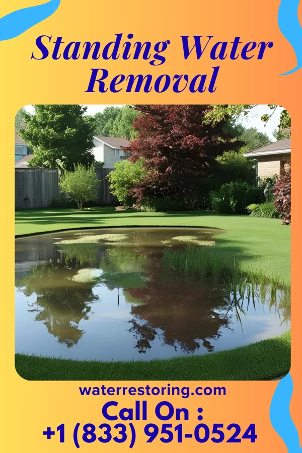 Standing Water Removal in Pecatonica, IL